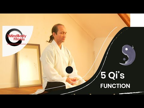 Dr Jeff Lan Explains The Five Qi's & Functions