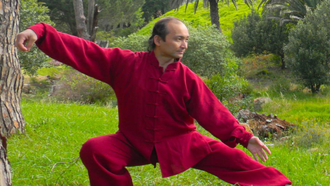 poetry in motion tai chi quan